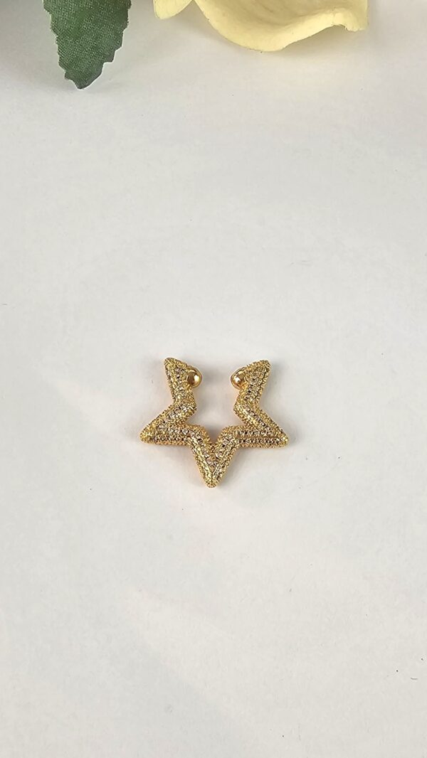Brinco Estrela