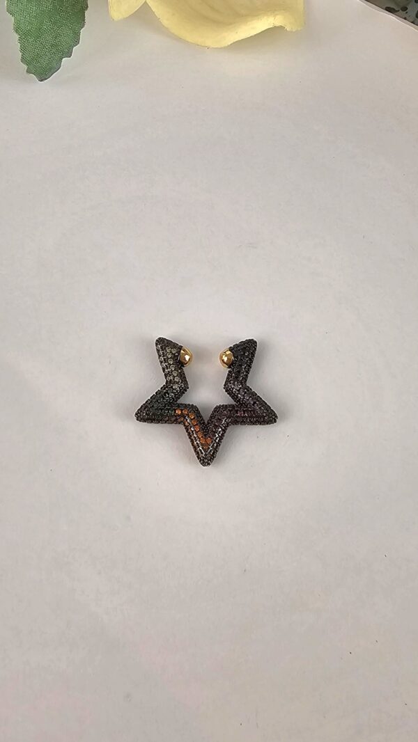 Brinco Estrela Negra